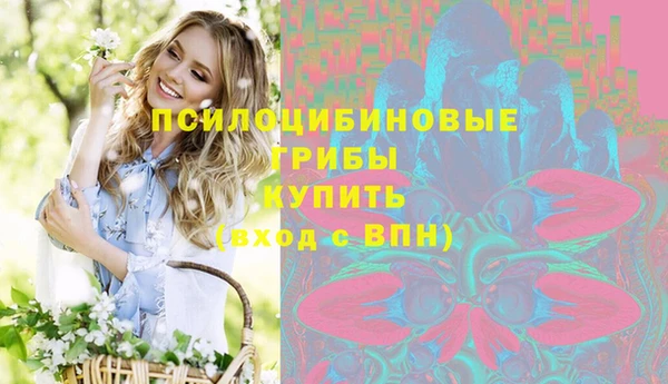 спайс Баксан