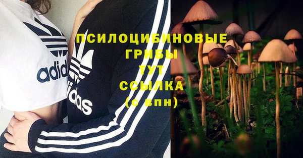 спайс Баксан