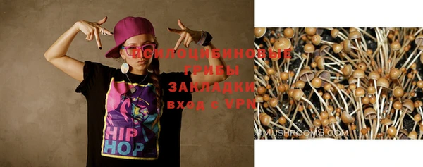 скорость Арсеньев
